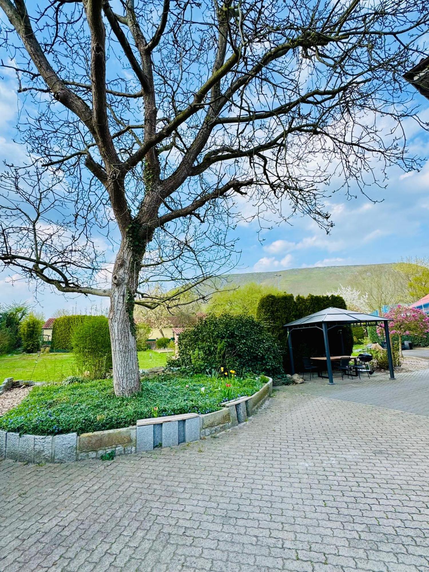 Ferienwohnungen Maedchen Wunstorf Bagian luar foto