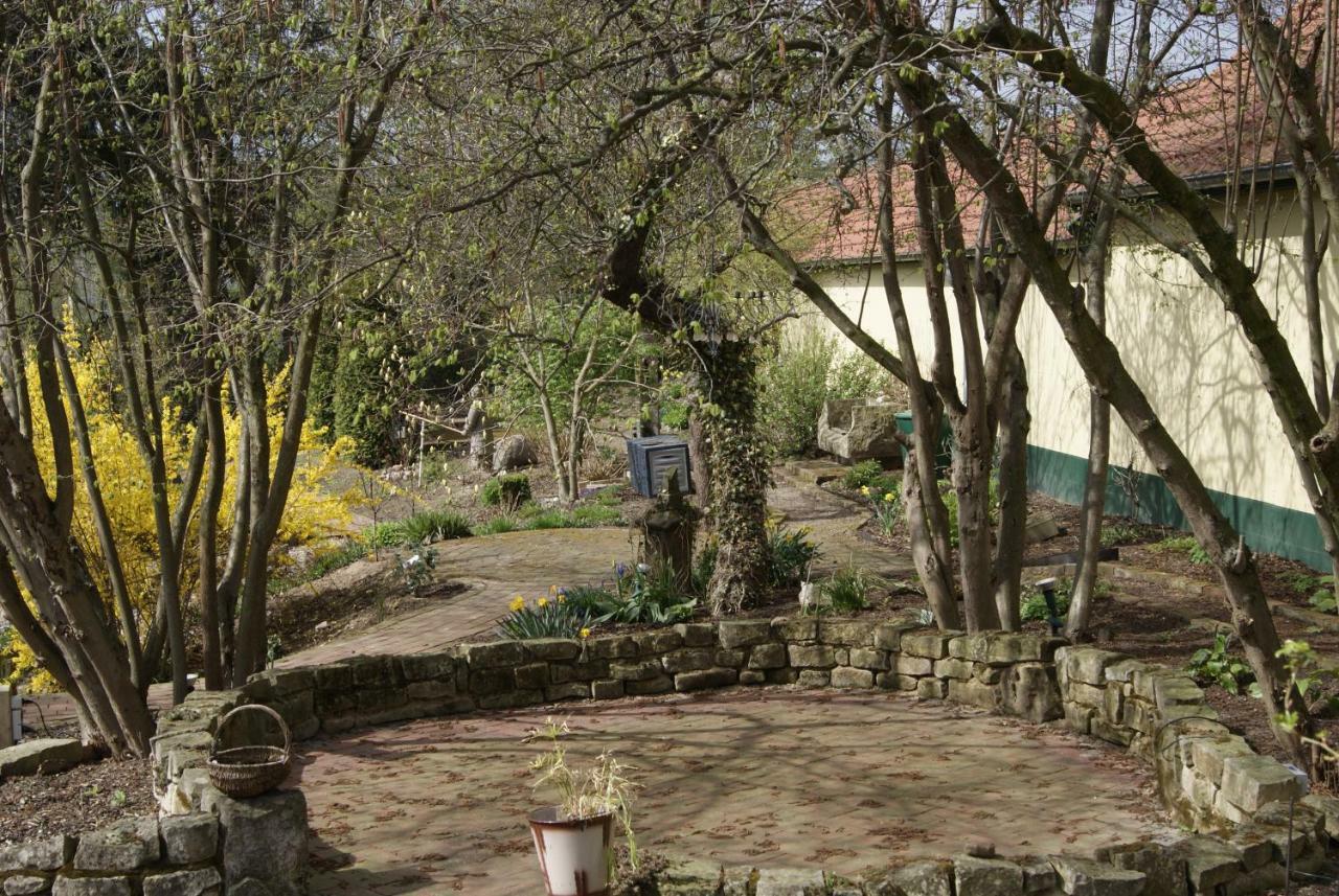 Ferienwohnungen Maedchen Wunstorf Bagian luar foto